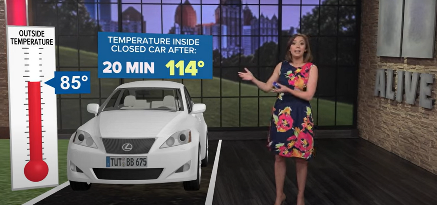 Heat Reflective Car Cover || Full Body Cover-Silver